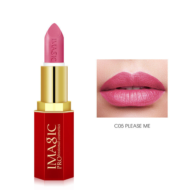 Long Lasting Red Tube Lipstick