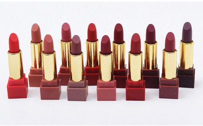 12-Color Square Tube Matte Lipstick